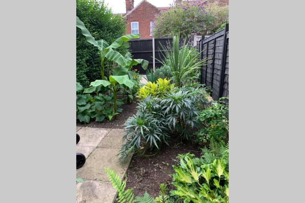Beautiful Two Bed Victorian Terrace House Villa Norwich Exterior foto